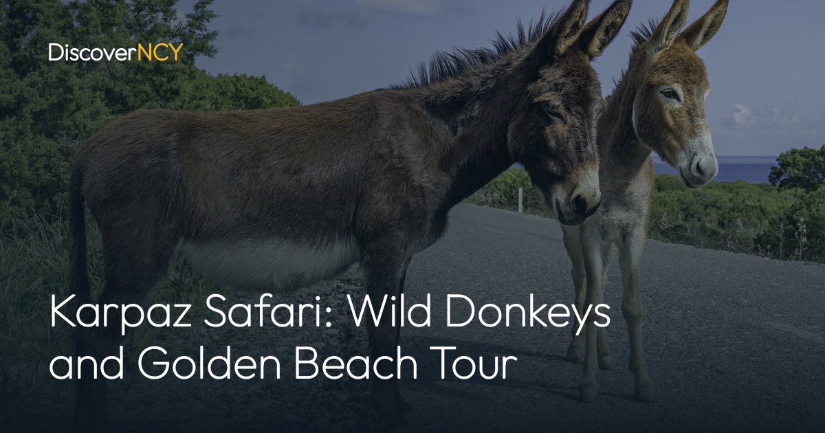Karpaz Safari: Wild Donkeys and Golden Beach Tour