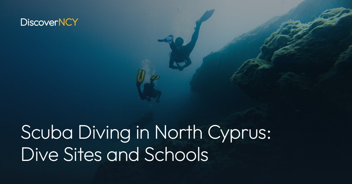 Scuba Diving in North Cyprus: Dive Sites and Schools