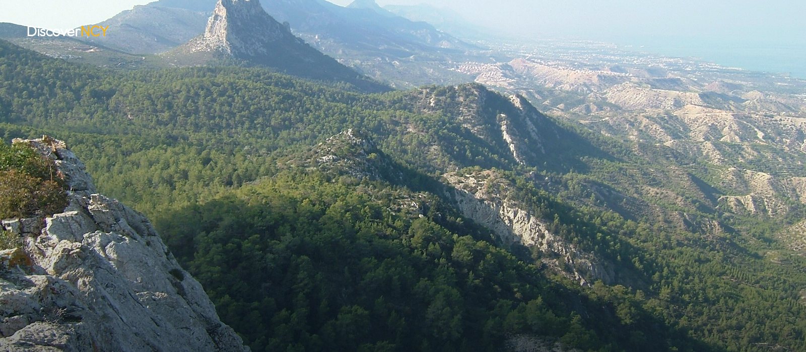 Alevkaya Herbarium: Endemic Flora in the Kyrenia Mountains