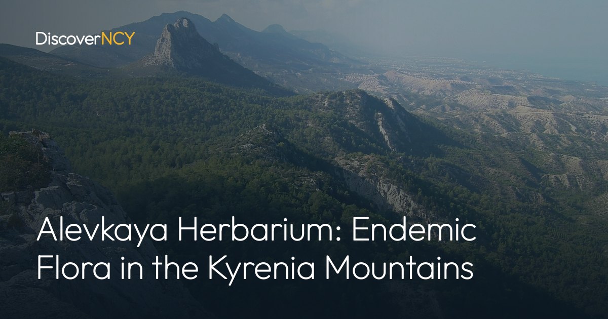 Alevkaya Herbarium: Endemic Flora in the Kyrenia Mountains