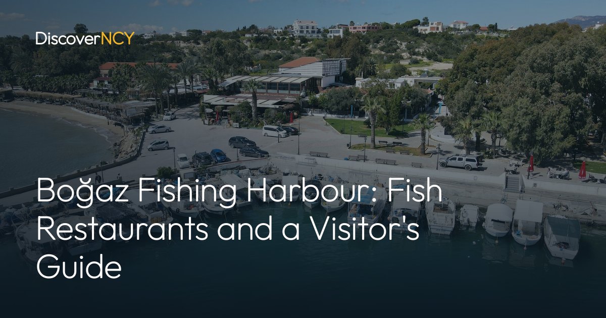 Boğaz Fishing Harbour: Fish Restaurants and a Visitor's Guide