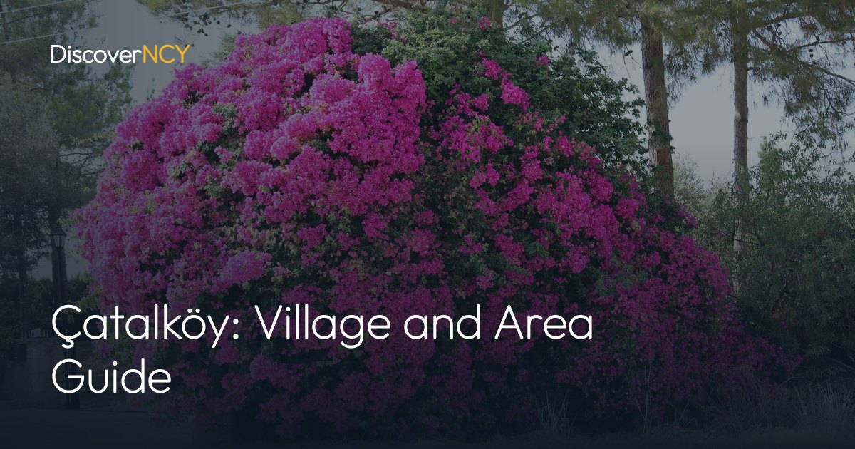 Çatalköy: Village and Area Guide
