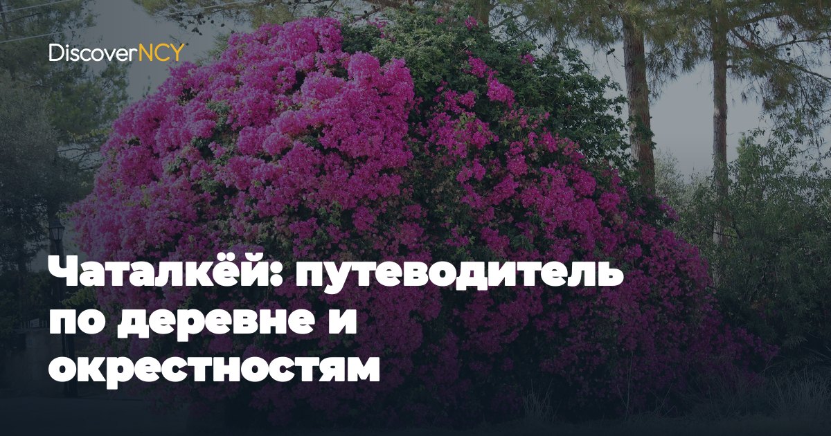 Чаталкёй: путеводитель по деревне и окрестностям