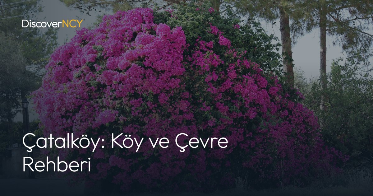 Çatalköy: Köy ve Çevre Rehberi