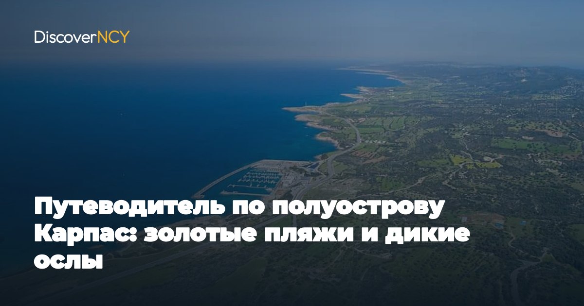 Путеводитель по полуострову Карпас: золотые пляжи и дикие ослы