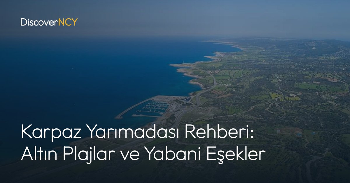 Karpaz Yarımadası Rehberi: Altın Plajlar ve Yabani Eşekler