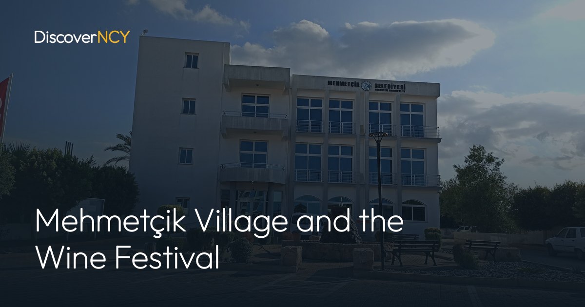 Mehmetçik Village and the Wine Festival