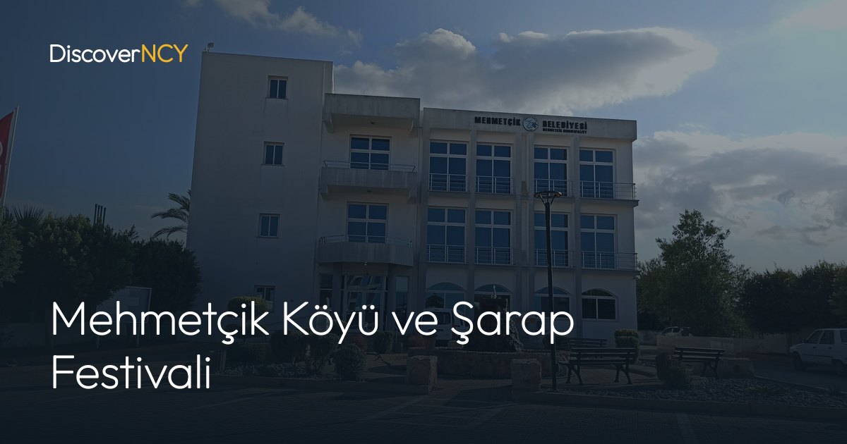 Mehmetçik Köyü ve Şarap Festivali