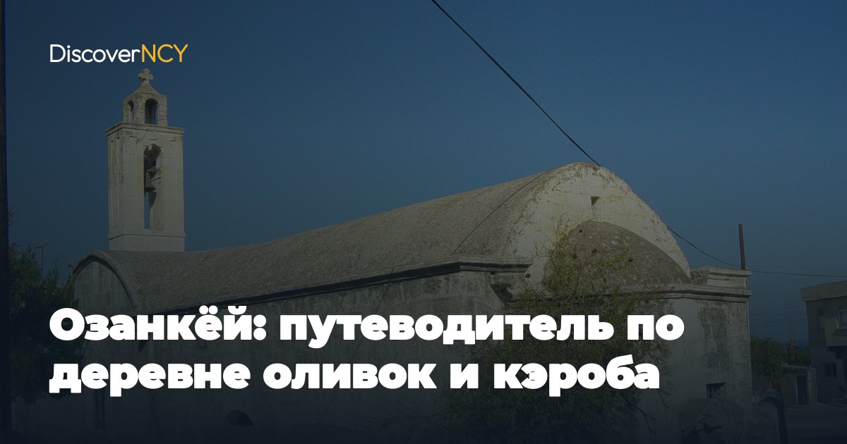 Озанкёй: путеводитель по деревне оливок и кэроба