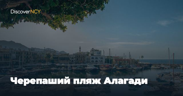 Черепаший пляж Алагади