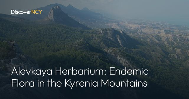Alevkaya Herbarium: Endemic Flora in the Kyrenia Mountains