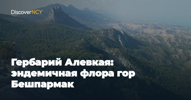 Гербарий Алевкая: эндемичная флора гор Бешпармак