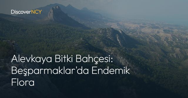 Alevkaya Bitki Bahçesi: Beşparmaklar'da Endemik Flora