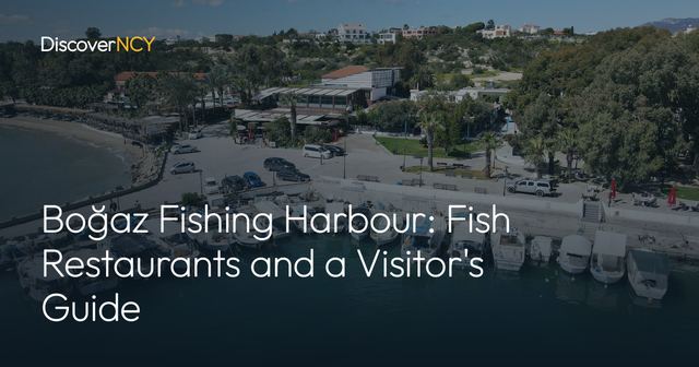 Boğaz Fishing Harbour: Fish Restaurants and a Visitor's Guide