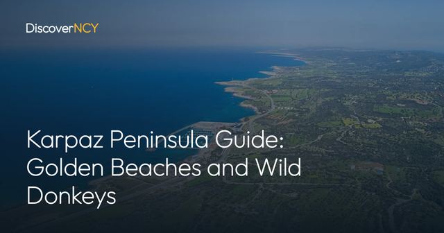 Karpaz Peninsula Guide: Golden Beaches and Wild Donkeys