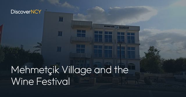 Mehmetçik Village and the Wine Festival