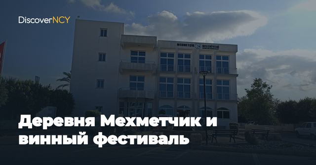 Деревня Мехметчик и винный фестиваль