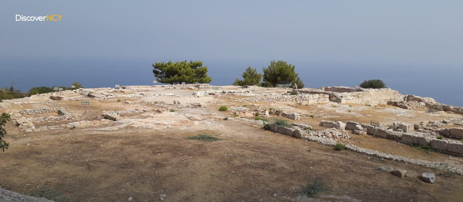 Vouni Palace